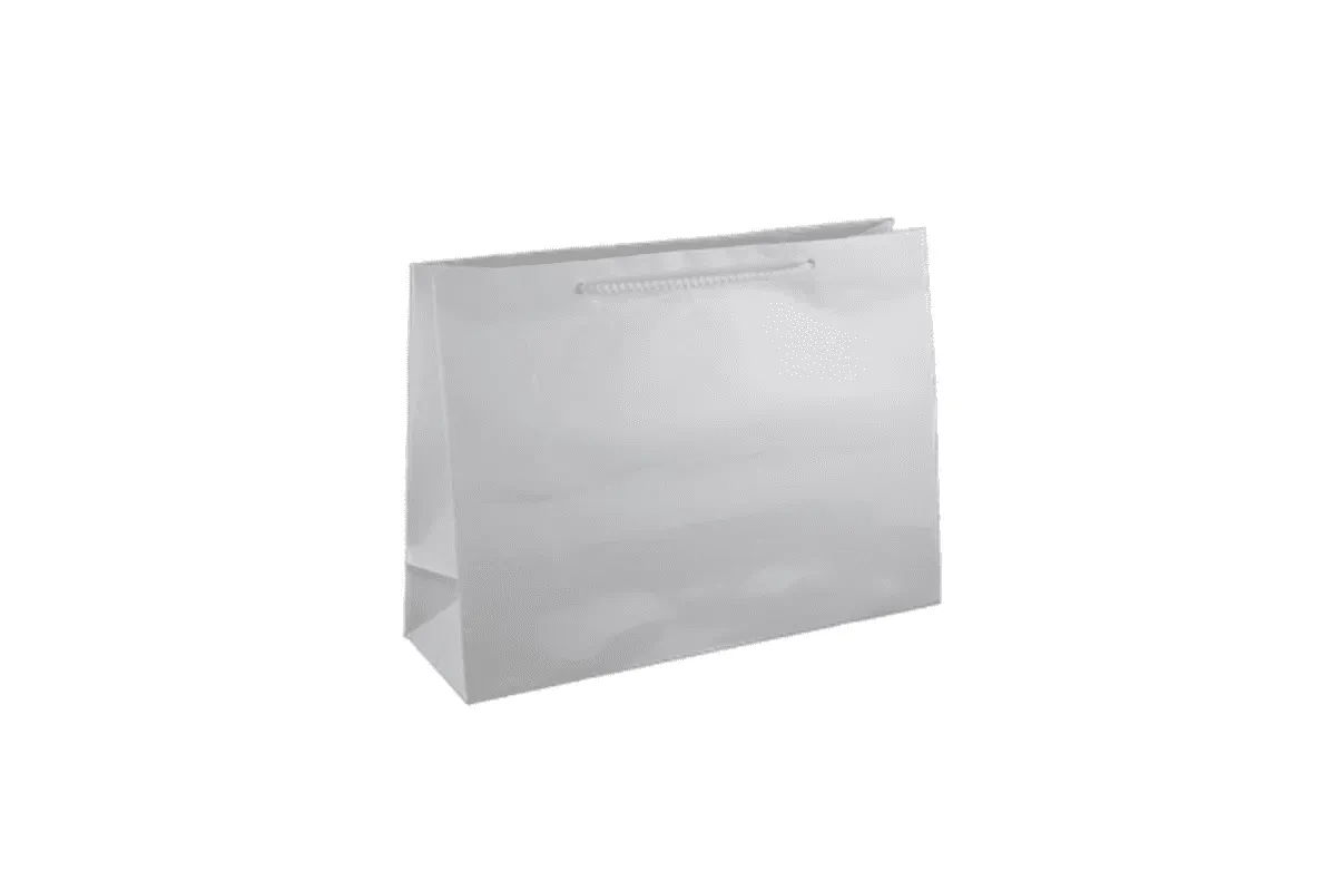 Small Boutique White Gloss Laminated Paper Bag Printed
