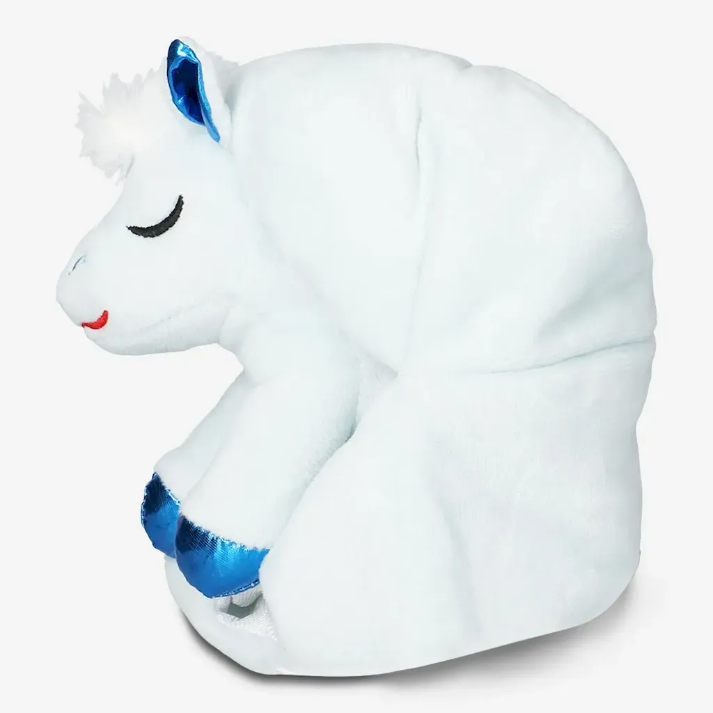 Next Product Image