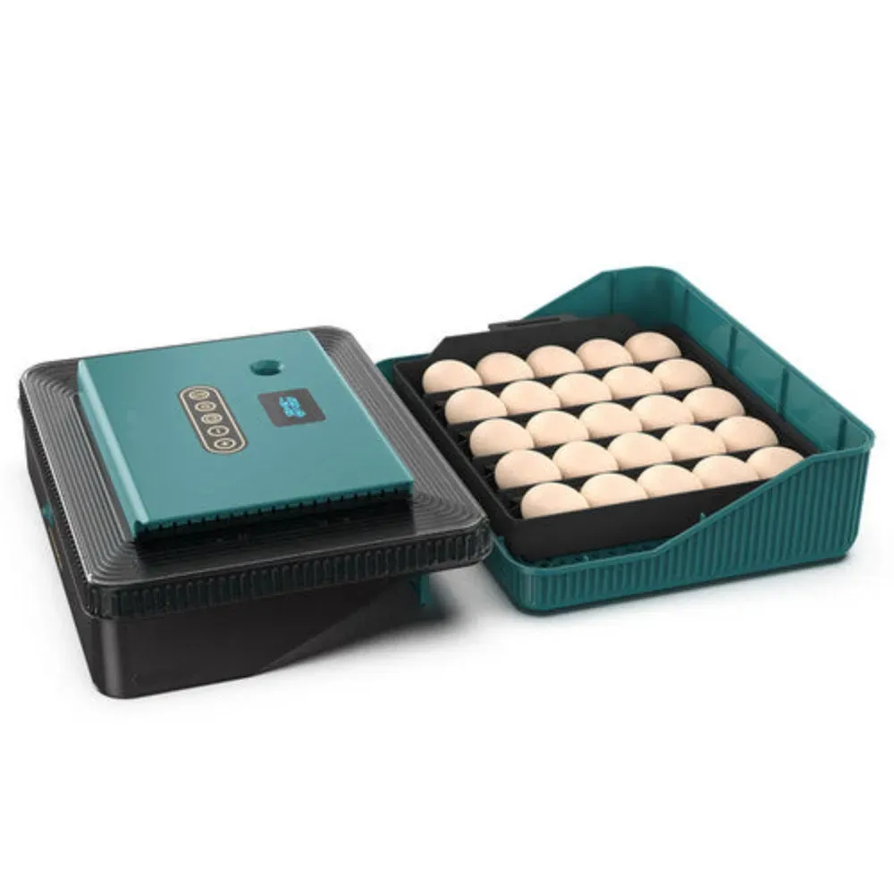 Next Product Image